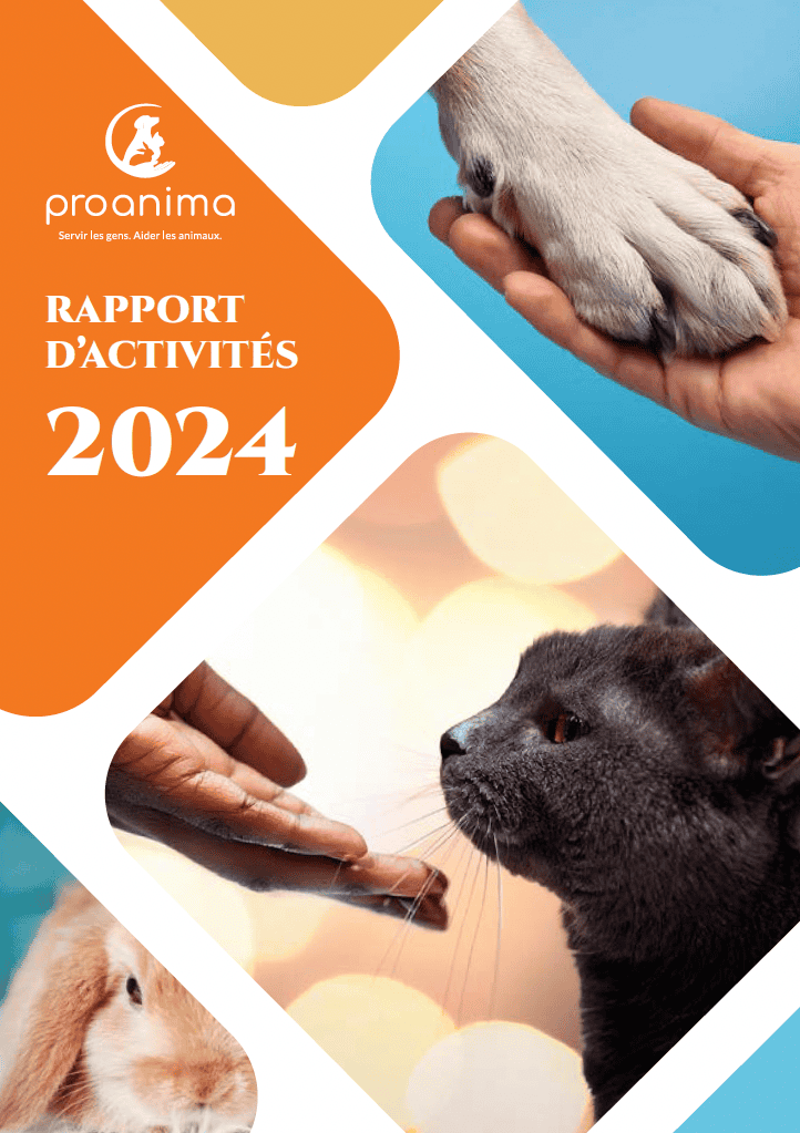 couverture - rapport d'activités 2024