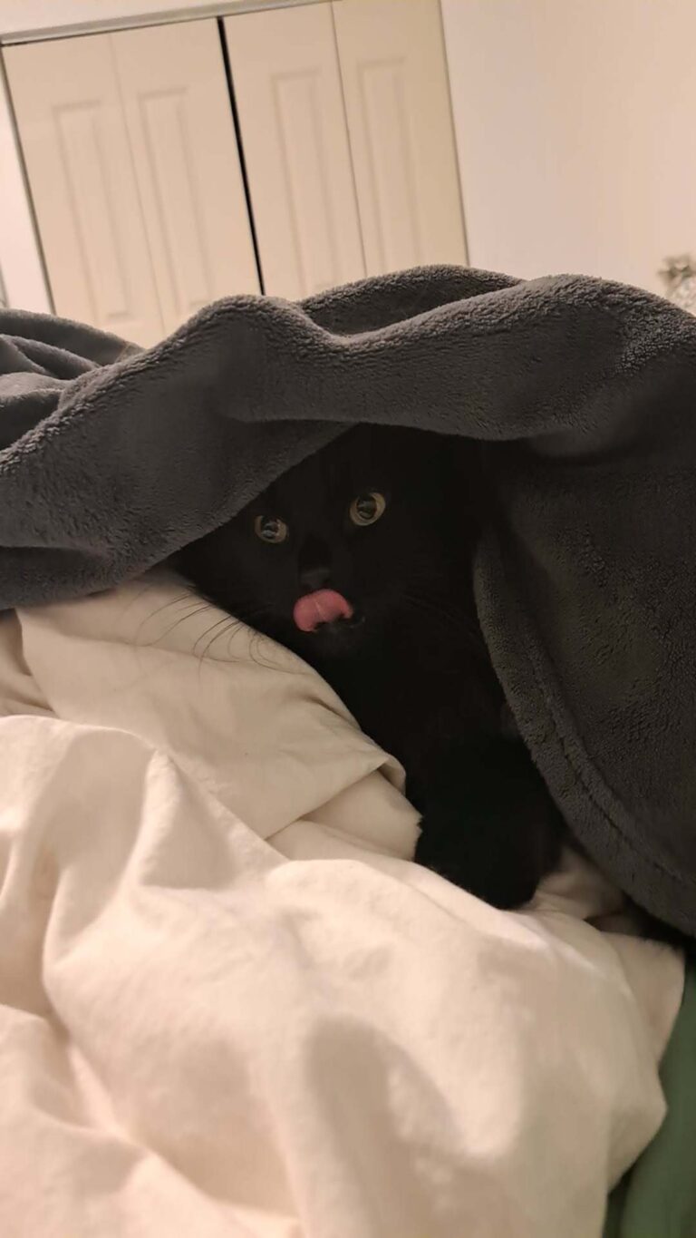 Gripette